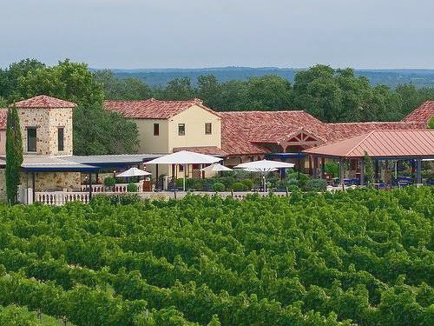 Vineyard rows in front of a stone winery in Driftwood, Texas